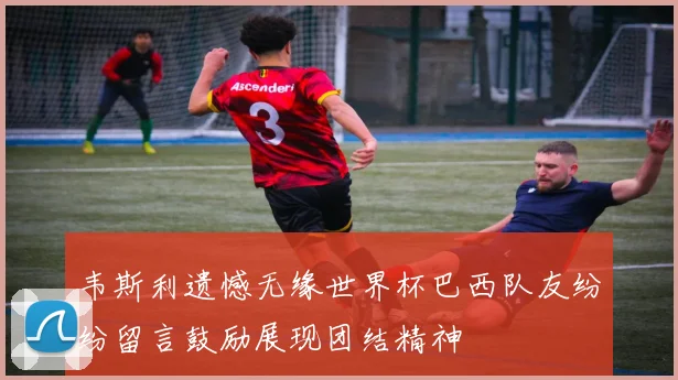 韦斯利遗憾无缘世界杯巴西队友纷纷留言鼓励展现团结精神