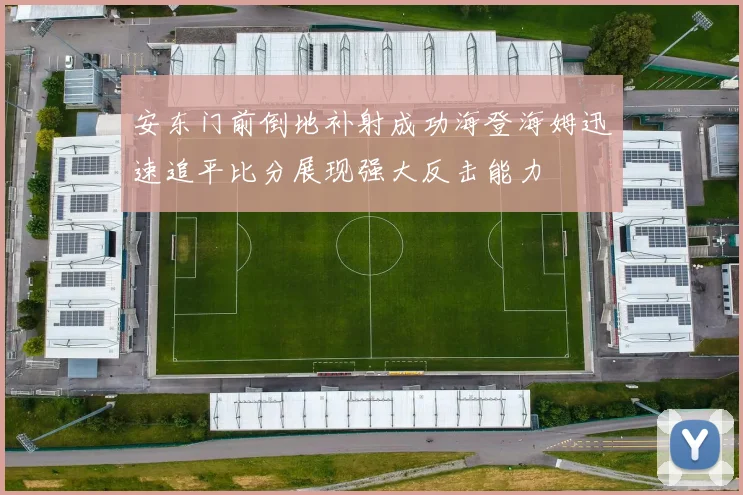 安东门前倒地补射成功海登海姆迅速追平比分展现强大反击能力